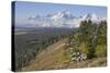 Grand Teton National Park, Autumn Snow-Ken Archer-Stretched Canvas