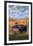 Grand Teton National Park - Buffalo and Calf-Lantern Press-Framed Art Print