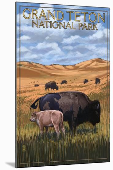 Grand Teton National Park - Buffalo and Calf-Lantern Press-Mounted Art Print