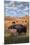 Grand Teton National Park - Buffalo and Calf-Lantern Press-Mounted Art Print