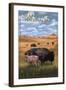 Grand Teton National Park - Buffalo and Calf-Lantern Press-Framed Art Print