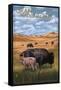 Grand Teton National Park - Buffalo and Calf-Lantern Press-Framed Stretched Canvas