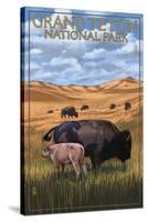 Grand Teton National Park - Buffalo and Calf-Lantern Press-Stretched Canvas