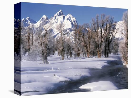 Grand Teton National Park Covered in Snow, Wyoming, USA-Scott T. Smith-Stretched Canvas