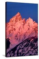 Grand Teton National Park III-Ike Leahy-Stretched Canvas