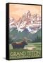 Grand Teton National Park - Moose and Mountains-Lantern Press-Framed Stretched Canvas