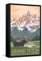 Grand Teton National Park - Moose and Mountains-Lantern Press-Framed Stretched Canvas