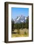 Grand Teton National Park, Teton County, Wyoming, Usa-John Warburton-lee-Framed Photographic Print