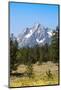 Grand Teton National Park, Teton County, Wyoming, Usa-John Warburton-lee-Mounted Photographic Print