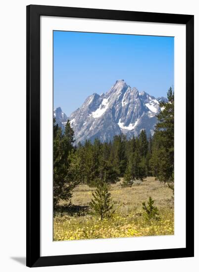 Grand Teton National Park, Teton County, Wyoming, Usa-John Warburton-lee-Framed Photographic Print