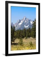 Grand Teton National Park, Teton County, Wyoming, Usa-John Warburton-lee-Framed Photographic Print