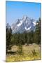 Grand Teton National Park, Teton County, Wyoming, Usa-John Warburton-lee-Mounted Photographic Print