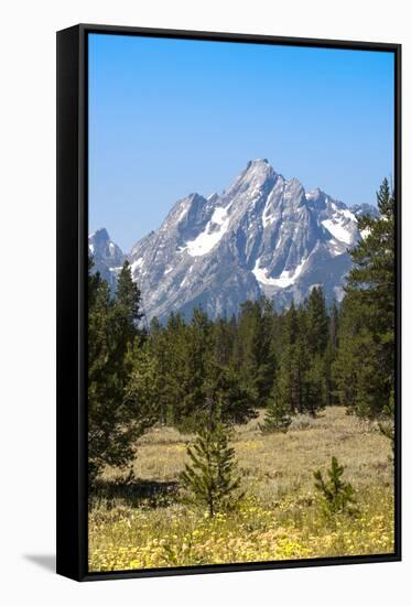 Grand Teton National Park, Teton County, Wyoming, Usa-John Warburton-lee-Framed Stretched Canvas