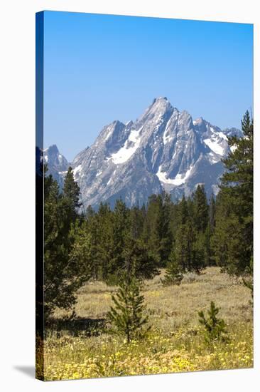 Grand Teton National Park, Teton County, Wyoming, Usa-John Warburton-lee-Stretched Canvas