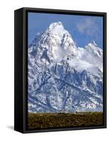 Grand Teton National Park V-Ike Leahy-Framed Stretched Canvas