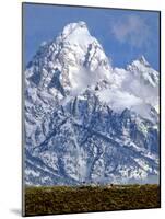 Grand Teton National Park V-Ike Leahy-Mounted Photographic Print