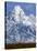 Grand Teton National Park V-Ike Leahy-Stretched Canvas