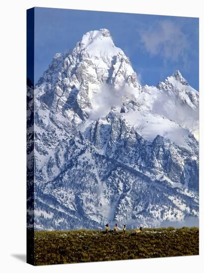 Grand Teton National Park V-Ike Leahy-Stretched Canvas