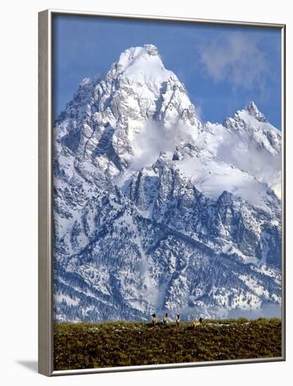 Grand Teton National Park V-Ike Leahy-Framed Photographic Print