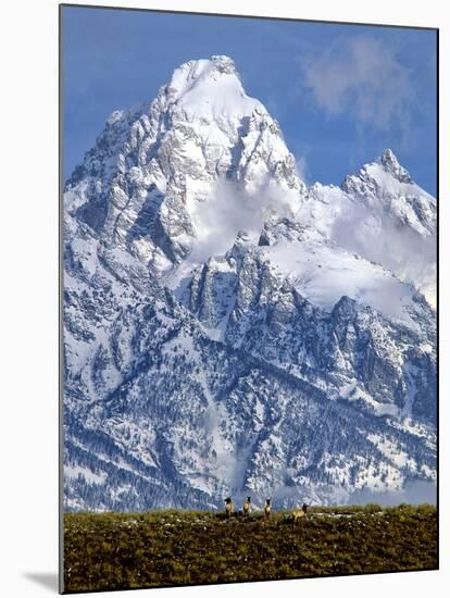 Grand Teton National Park V-Ike Leahy-Mounted Photographic Print