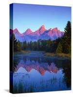 Grand Teton National Park VI-Ike Leahy-Stretched Canvas