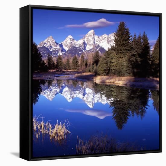 Grand Teton National Park VII-Ike Leahy-Framed Stretched Canvas