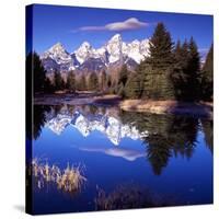 Grand Teton National Park VII-Ike Leahy-Stretched Canvas