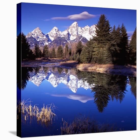 Grand Teton National Park VII-Ike Leahy-Stretched Canvas