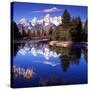 Grand Teton National Park VII-Ike Leahy-Stretched Canvas