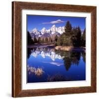 Grand Teton National Park VII-Ike Leahy-Framed Photographic Print