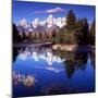 Grand Teton National Park VII-Ike Leahy-Mounted Photographic Print