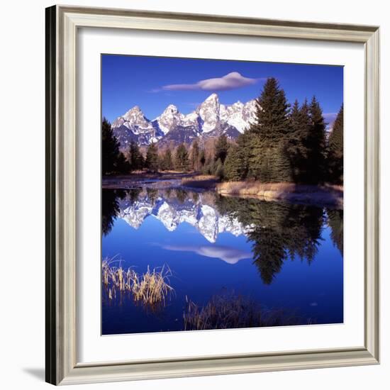 Grand Teton National Park VII-Ike Leahy-Framed Photographic Print