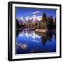 Grand Teton National Park VII-Ike Leahy-Framed Premium Photographic Print