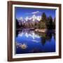 Grand Teton National Park VII-Ike Leahy-Framed Photographic Print