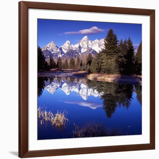 Grand Teton National Park VII-Ike Leahy-Framed Photographic Print