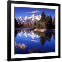 Grand Teton National Park VII-Ike Leahy-Framed Photographic Print