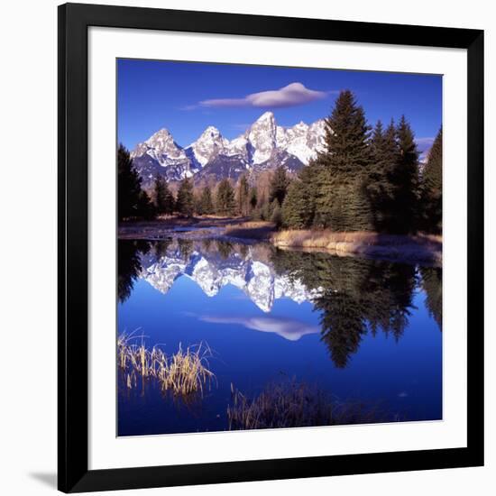 Grand Teton National Park VII-Ike Leahy-Framed Photographic Print