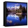 Grand Teton National Park VII-Ike Leahy-Framed Stretched Canvas