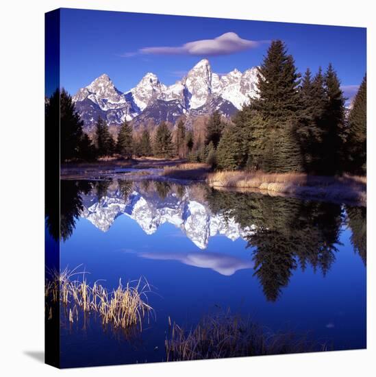 Grand Teton National Park VII-Ike Leahy-Stretched Canvas