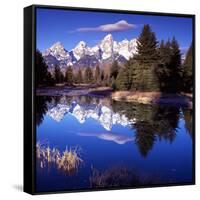 Grand Teton National Park VII-Ike Leahy-Framed Stretched Canvas