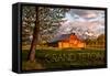 Grand Teton National Park, Wyoming - Barn and Tree-Lantern Press-Framed Stretched Canvas