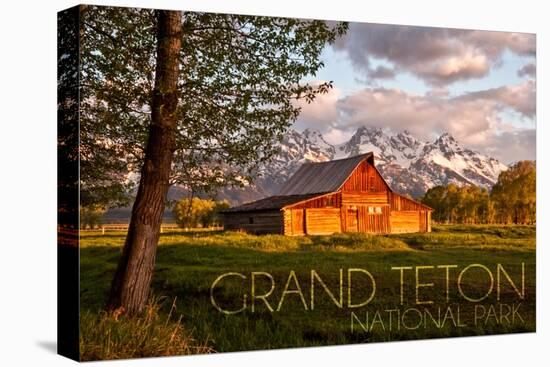 Grand Teton National Park, Wyoming - Barn and Tree-Lantern Press-Stretched Canvas