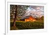 Grand Teton National Park, Wyoming - Barn and Tree-Lantern Press-Framed Premium Giclee Print