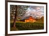 Grand Teton National Park, Wyoming - Barn and Tree-Lantern Press-Framed Premium Giclee Print