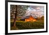 Grand Teton National Park, Wyoming - Barn and Tree-Lantern Press-Framed Premium Giclee Print