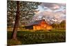 Grand Teton National Park, Wyoming - Barn and Tree-Lantern Press-Mounted Premium Giclee Print