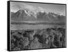 Grand Teton, National Park Wyoming, Geology, Geological 1933-1942-Ansel Adams-Framed Stretched Canvas