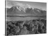 Grand Teton, National Park Wyoming, Geology, Geological 1933-1942-Ansel Adams-Stretched Canvas