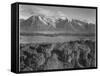 Grand Teton, National Park Wyoming, Geology, Geological 1933-1942-Ansel Adams-Framed Stretched Canvas