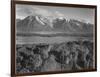 Grand Teton, National Park Wyoming, Geology, Geological 1933-1942-Ansel Adams-Framed Art Print